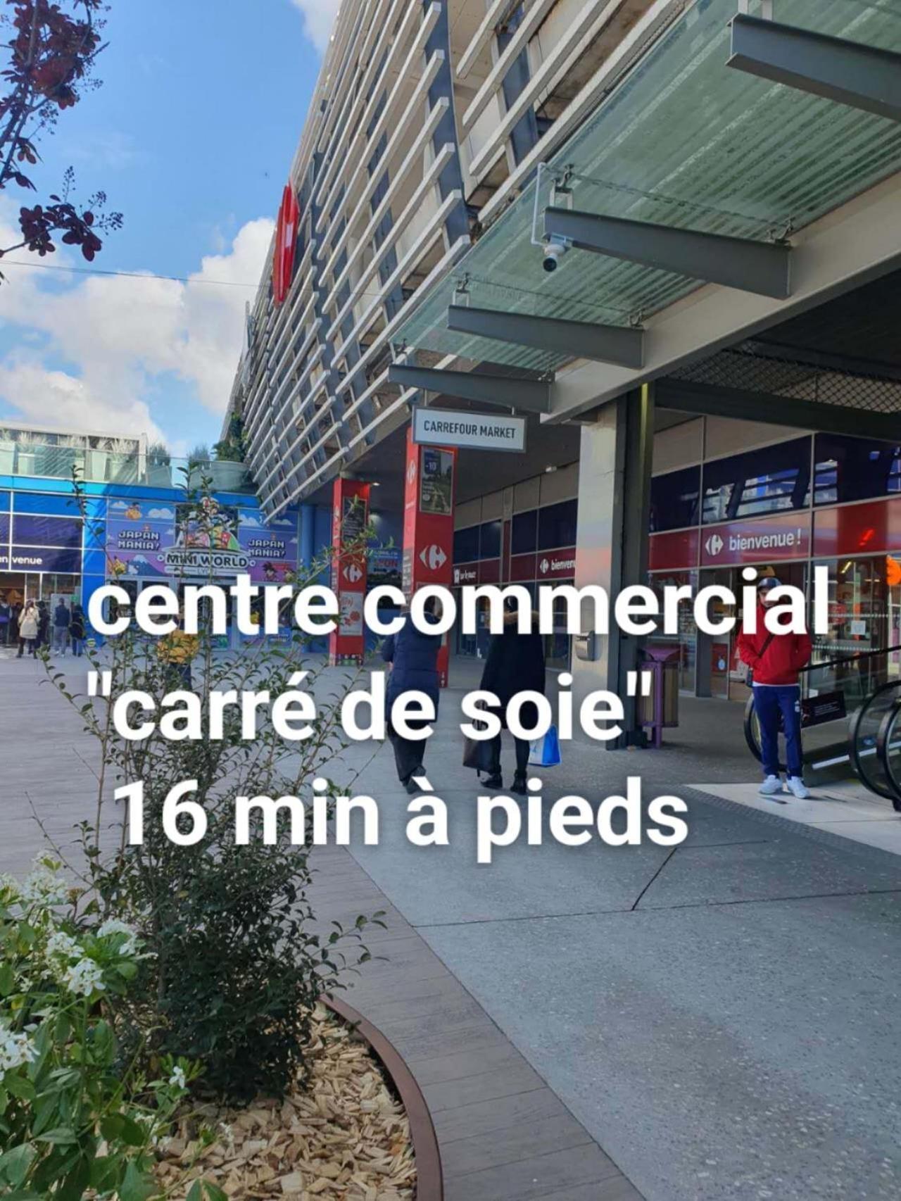 Medipole T2 Avec Un Garage Gratuit Sur Place, 16Min A Centre Ville Lyon En Metro A Villeurbanne Exteriér fotografie
